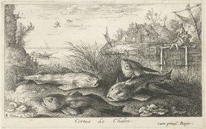 Quatre poissons sur une rive
