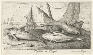 Quatre rougets sur la plage (Rubellio Le Rouget.) (Vissen en andere zeedieren - zoutwater tweede reeks, Poissons de mer)