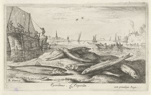 Six éperlans sur la plage (Eperlanus. L