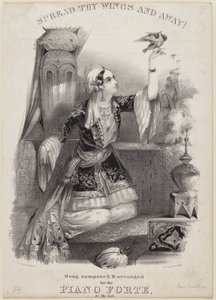 Déploie Tes Ailes et Envole-toi !