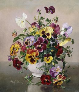 Nature morte avec des pensées