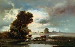 Pâturage au bord de la rivière