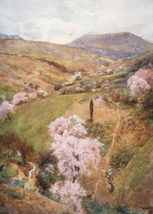 Jour de printemps dans une vallée près de Girgenti
