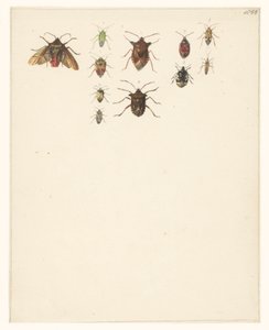 Feuille d