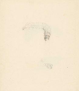 Feuille d