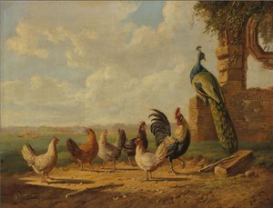 Dutch : Poules et paon dans un paysage Poules et paon dans un paysage