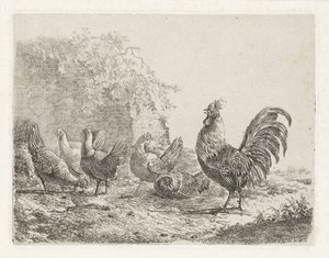 Coq avec cinq poules