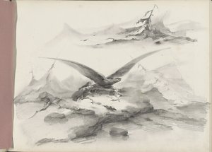 Aigle volant au-dessus d