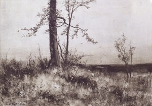 Paysage - Albion Harris Bicknell