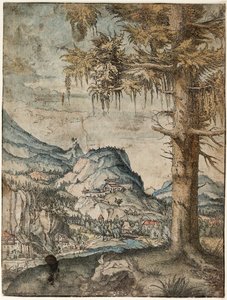 French : Le grand épicéa Large Spruce - Albrecht Altdorfer