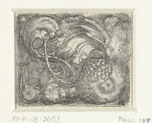 Grenade et vrilles - Albrecht Altdorfer
