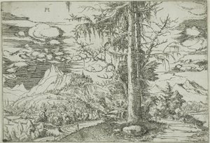 Paysage avec un double épicéa - Albrecht Altdorfer