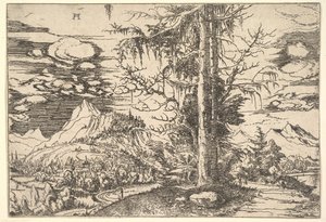 Paysage avec un double épicéa - Albrecht Altdorfer