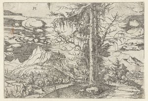 Paysage avec double sapin - Albrecht Altdorfer