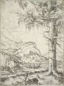 Le grand épicéa, c.1520