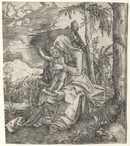 La Vierge dans un paysage - Albrecht Altdorfer