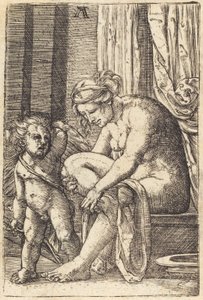 Vénus après le bain