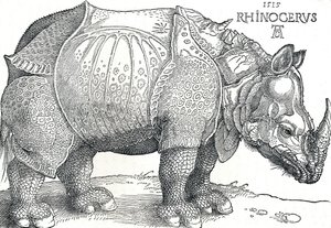 Un rhinocéros