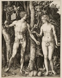 Adam et Eve - Albrecht Dürer