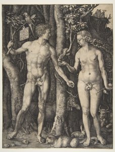  - Albrecht Dürer