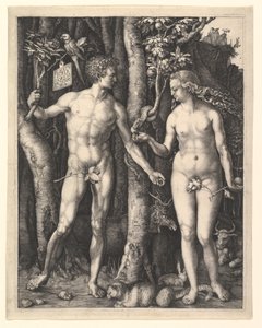  - Albrecht Dürer