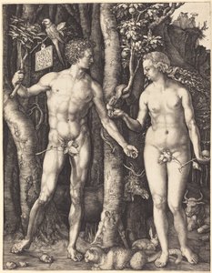  - Albrecht Dürer