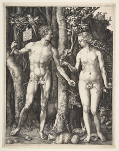  - Albrecht Dürer
