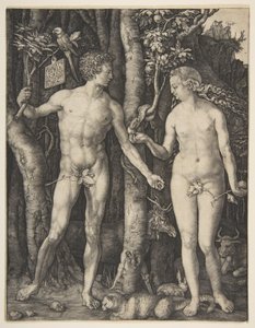  - Albrecht Dürer