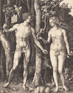 Adam et Ève, 1504 - Albrecht Dürer