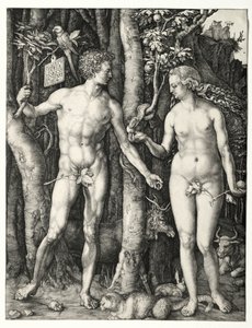Adam et Ève, 1504
