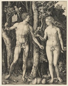 Adam et Ève, 1504