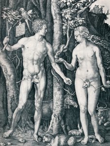 Adam et Ève, 1504 1906