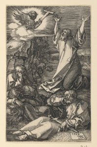  - Albrecht Dürer
