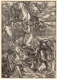  - Albrecht Dürer