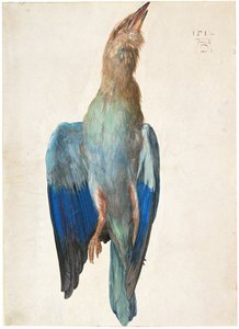 Rollier Mort, 1500 ou 1512 - Albrecht Dürer