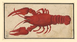  - Albrecht Dürer