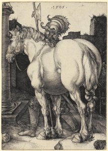 Grand cheval - Albrecht Dürer