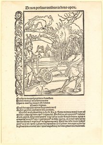 mépriser les bons conseils - Albrecht Dürer