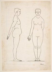 Illustration de Dürers Vier Bücher von Menschlicher Proportion, Nuremberg, 1528 - Albrecht Dürer