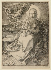  - Albrecht Dürer