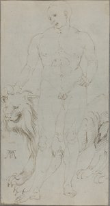 Nu masculin avec un lion (verso) - Albrecht Dürer