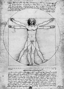 Proportions de la figure humaine, vers 1492, 1936