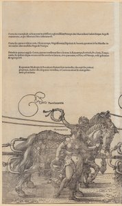  - Albrecht Dürer