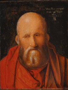 Saint Jérôme, 1514 - Albrecht Dürer