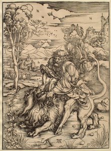  - Albrecht Dürer