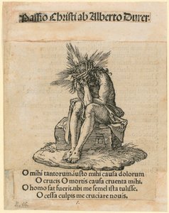  - Albrecht Dürer