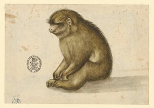  - Albrecht Dürer