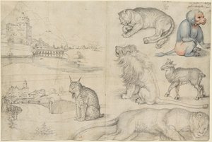 Croquis d