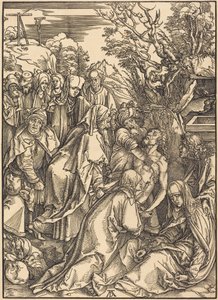  - Albrecht Dürer