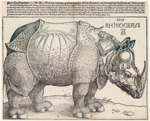 Le rhinocéros - Albrecht Dürer